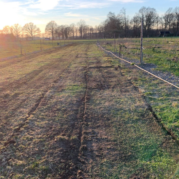 Nieuwe Bodem - duurzaam walnoten hazelnoten biodiversiteit agrobosbouw 381.peg
