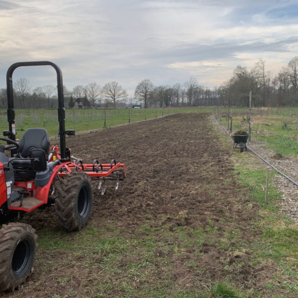Nieuwe Bodem - duurzaam walnoten hazelnoten biodiversiteit agrobosbouw 382