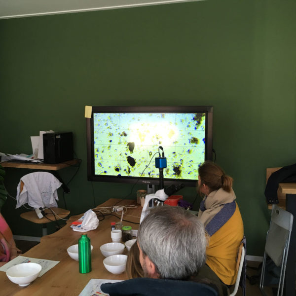 Nieuwe Bodem - duurzaam walnoten hazelnoten biodiversiteit agrobosbouw 386