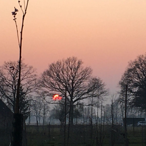 Nieuwe Bodem - duurzaam walnoten hazelnoten biodiversiteit agrobosbouw 392