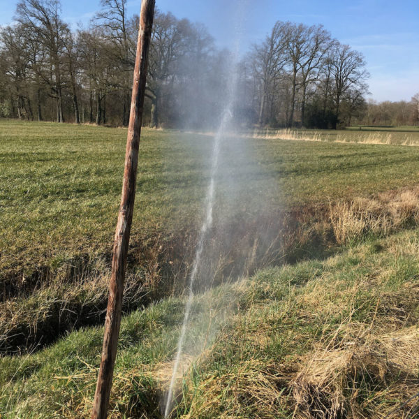 Nieuwe Bodem - duurzaam walnoten hazelnoten biodiversiteit agrobosbouw 398