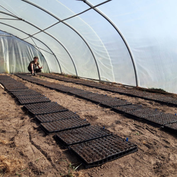 Nieuwe Bodem - duurzaam walnoten hazelnoten biodiversiteit agrobosbouw 399