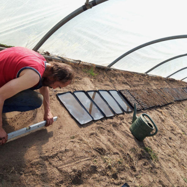 Nieuwe Bodem - duurzaam walnoten hazelnoten biodiversiteit agrobosbouw 400