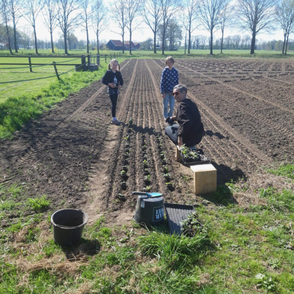 Nieuwe Bodem - duurzaam walnoten hazelnoten biodiversiteit agrobosbouw 401