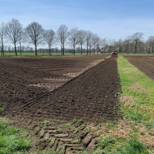 Nieuwe Bodem - duurzaam walnoten hazelnoten biodiversiteit agrobosbouw 405