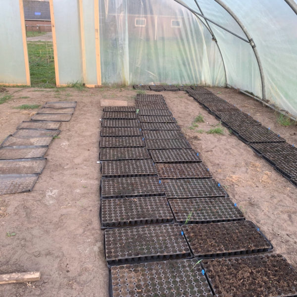 Nieuwe Bodem - duurzaam walnoten hazelnoten biodiversiteit agrobosbouw 406