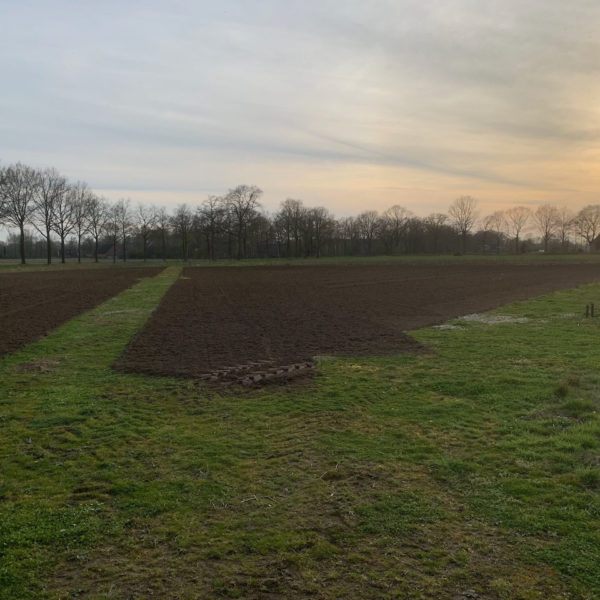 Nieuwe Bodem - duurzaam walnoten hazelnoten biodiversiteit agrobosbouw 407