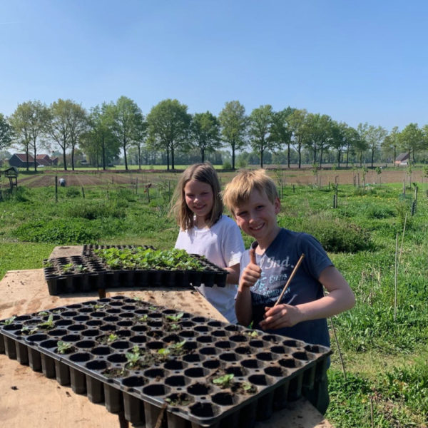 Nieuwe Bodem - duurzaam walnoten hazelnoten biodiversiteit agrobosbouw 422