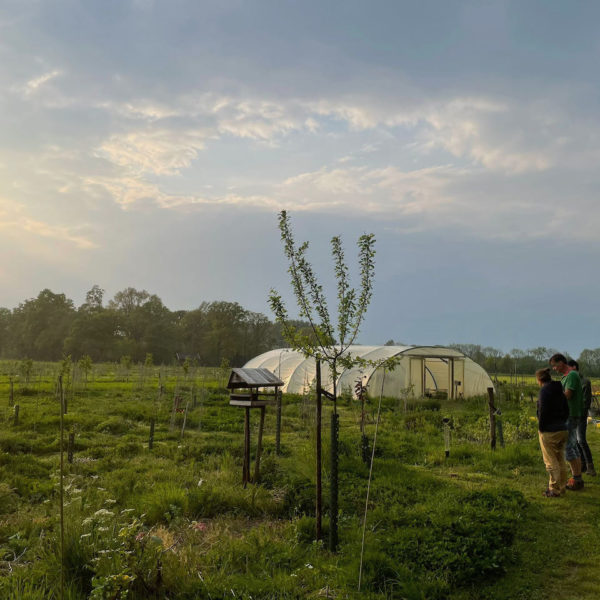 Nieuwe Bodem - duurzaam walnoten hazelnoten biodiversiteit agrobosbouw 429