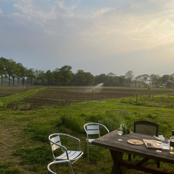 Nieuwe Bodem - duurzaam walnoten hazelnoten biodiversiteit agrobosbouw 430