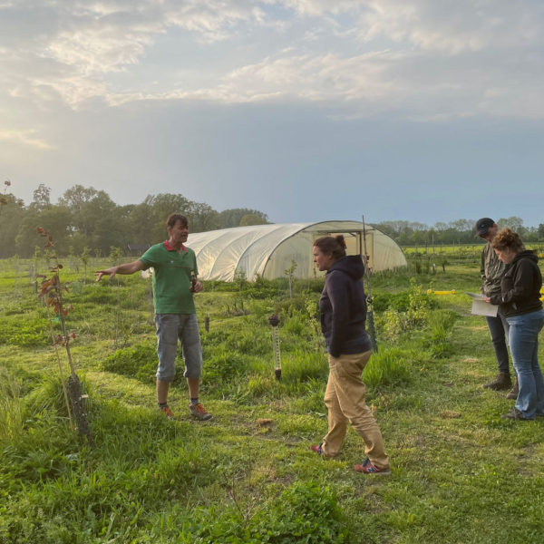 Nieuwe Bodem - duurzaam walnoten hazelnoten biodiversiteit agrobosbouw 432