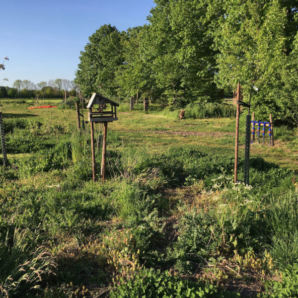 Nieuwe Bodem - duurzaam walnoten hazelnoten biodiversiteit agrobosbouw 435