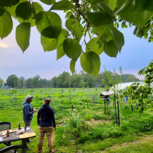 Nieuwe Bodem - duurzaam walnoten hazelnoten biodiversiteit agrobosbouw 438