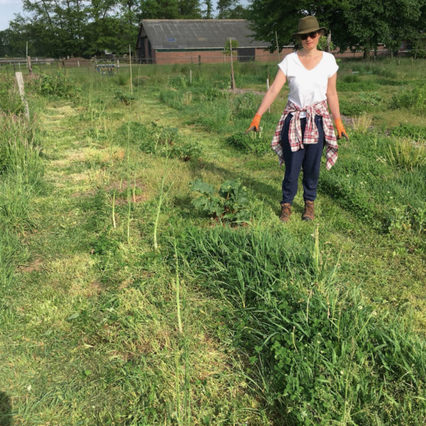 Nieuwe Bodem - duurzaam walnoten hazelnoten biodiversiteit agrobosbouw 442