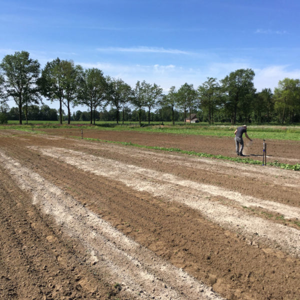 Nieuwe Bodem - duurzaam walnoten hazelnoten biodiversiteit agrobosbouw 448