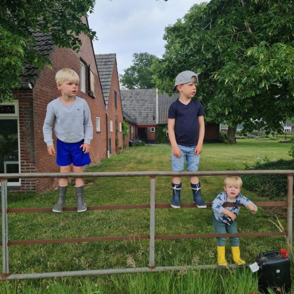 Nieuwe Bodem - duurzaam walnoten hazelnoten biodiversiteit agrobosbouw 455