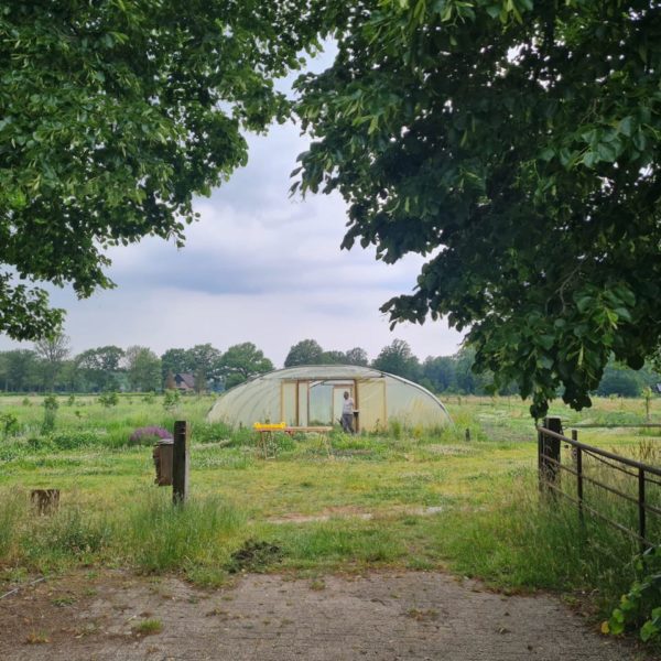 Nieuwe Bodem - duurzaam walnoten hazelnoten biodiversiteit agrobosbouw 456
