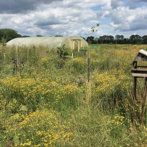 Nieuwe Bodem - duurzaam walnoten hazelnoten biodiversiteit agrobosbouw 480