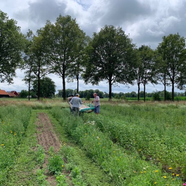 Nieuwe Bodem - duurzaam walnoten hazelnoten biodiversiteit agrobosbouw 487