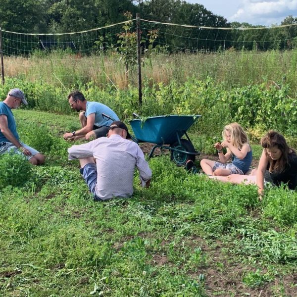 Nieuwe Bodem - duurzaam walnoten hazelnoten biodiversiteit agrobosbouw 488