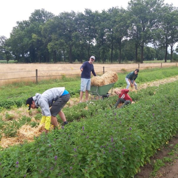 Nieuwe Bodem - duurzaam walnoten hazelnoten biodiversiteit agrobosbouw 489