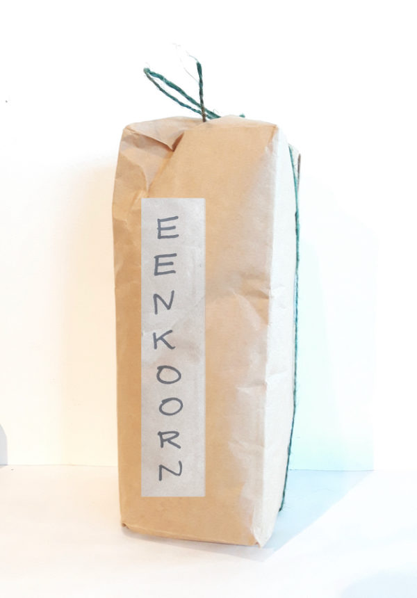 Eenkoren
