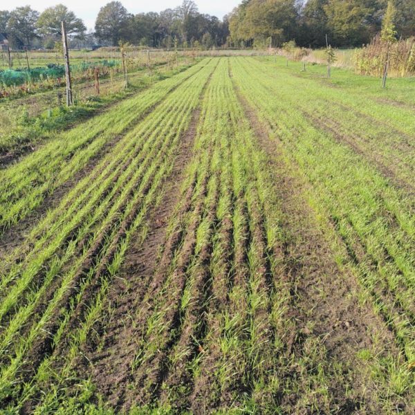 Nieuwe Bodem - duurzaam walnoten hazelnoten biodiversiteit agrobosbouw 546