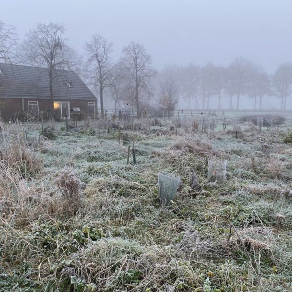 Nieuwe Bodem - duurzaam walnoten hazelnoten biodiversiteit agrobosbouw 551