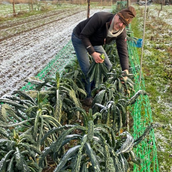 Nieuwe Bodem - duurzaam walnoten hazelnoten biodiversiteit agrobosbouw 553