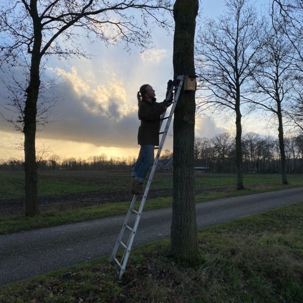 Nieuwe Bodem - duurzaam walnoten hazelnoten biodiversiteit agrobosbouw 558