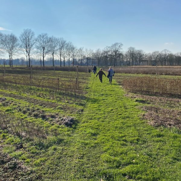 Nieuwe Bodem - duurzaam walnoten hazelnoten biodiversiteit agrobosbouw 564