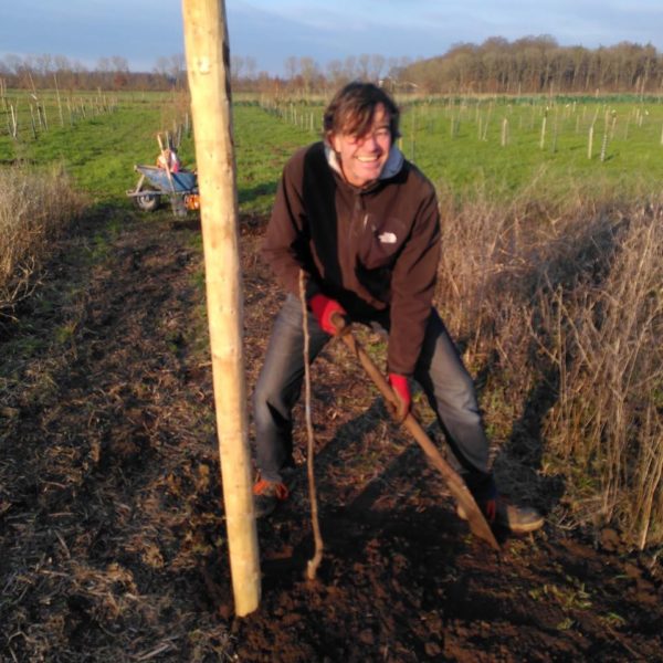 Nieuwe Bodem - duurzaam walnoten hazelnoten biodiversiteit agrobosbouw 565