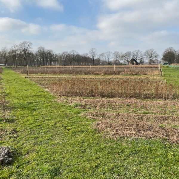 Nieuwe Bodem - duurzaam walnoten hazelnoten biodiversiteit agrobosbouw 572