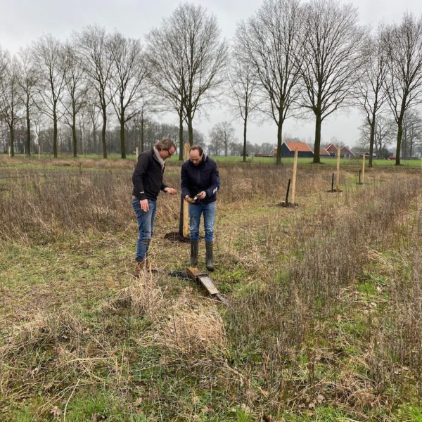 Nieuwe Bodem - duurzaam walnoten hazelnoten biodiversiteit agrobosbouw 576