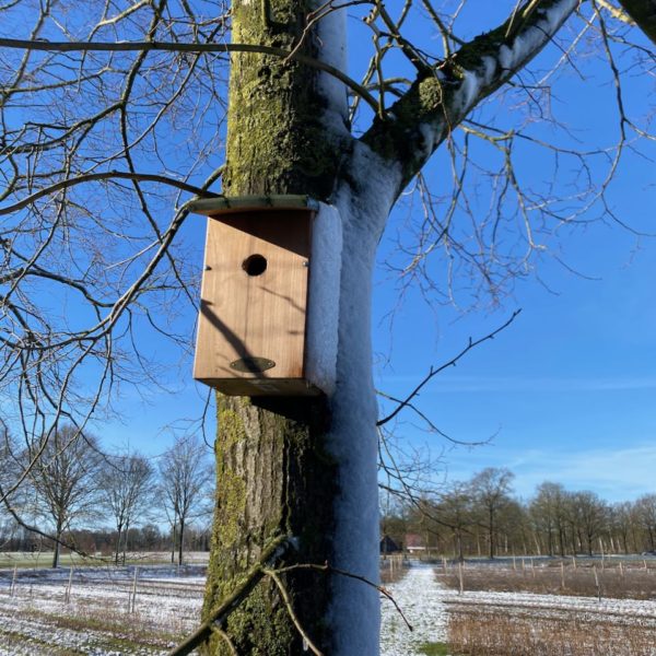 Nieuwe Bodem - duurzaam walnoten hazelnoten biodiversiteit agrobosbouw 581