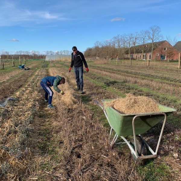 Nieuwe Bodem - duurzaam walnoten hazelnoten biodiversiteit agrobosbouw 583