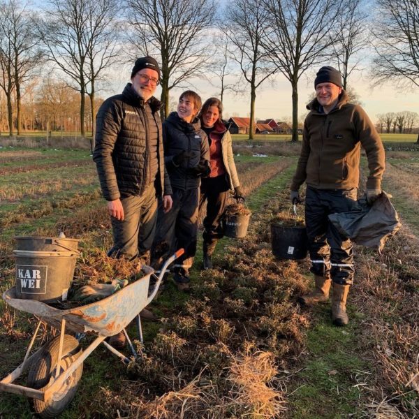 Nieuwe Bodem - duurzaam walnoten hazelnoten biodiversiteit agrobosbouw 585