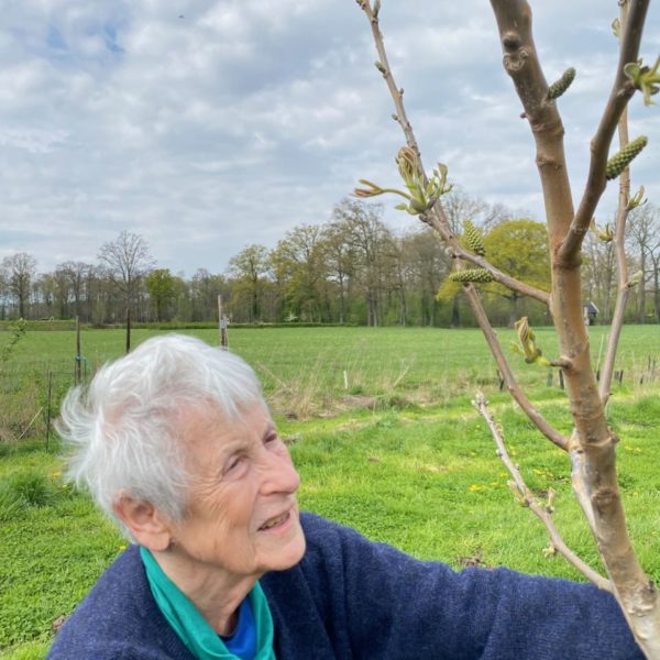 Nieuwe Bodem - duurzaam walnoten hazelnoten biodiversiteit agrobosbouw 592