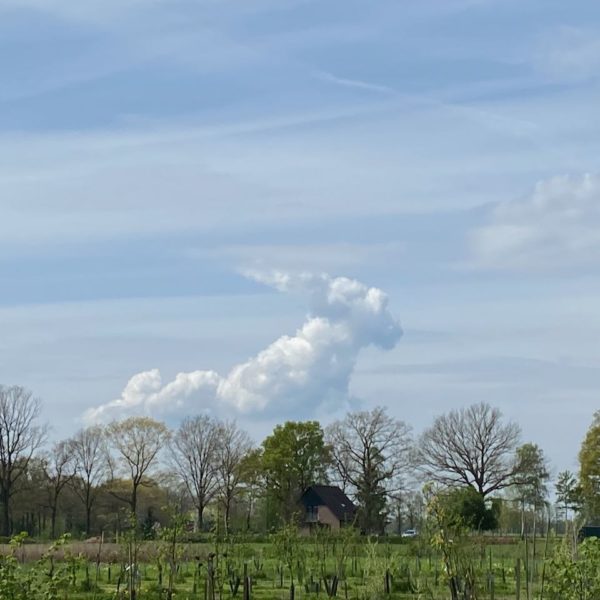 Nieuwe Bodem - duurzaam walnoten hazelnoten biodiversiteit agrobosbouw 593