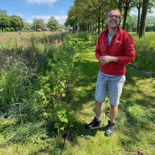 Irrigatie aanleg zwarte bessenplot vanuit kleinfruit - 5 mei 2023