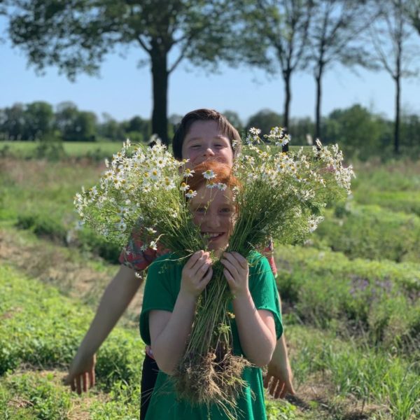 Nieuwe Bodem - duurzaam walnoten hazelnoten biodiversiteit agrobosbouw 609