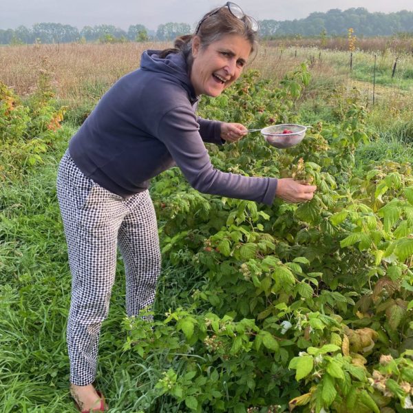 Nieuwe Bodem - duurzaam walnoten hazelnoten biodiversiteit agrobosbouw 625