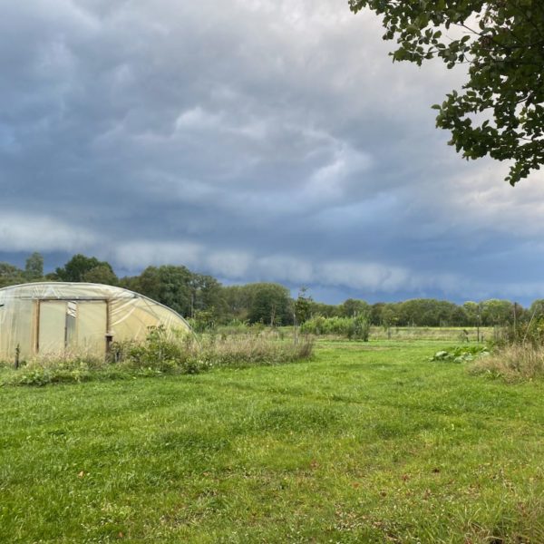 Nieuwe Bodem - duurzaam walnoten hazelnoten biodiversiteit agrobosbouw 630