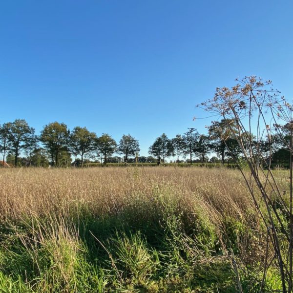 Nieuwe Bodem - duurzaam walnoten hazelnoten biodiversiteit agrobosbouw 632