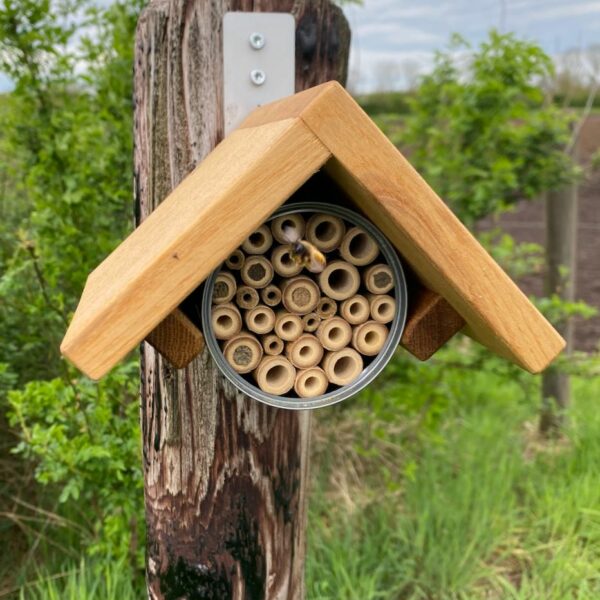 Ip's insectenhotel 1