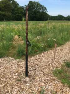 Boom A31 – 2021-06-27