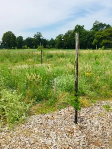 Boom C4 – 2021-06-27