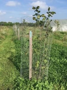 Boom E15 – 2021-09-26