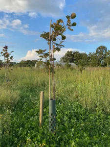 Boom E23 – 2023-07-29