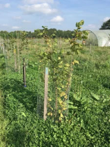 Boom E28 – 2021-09-26